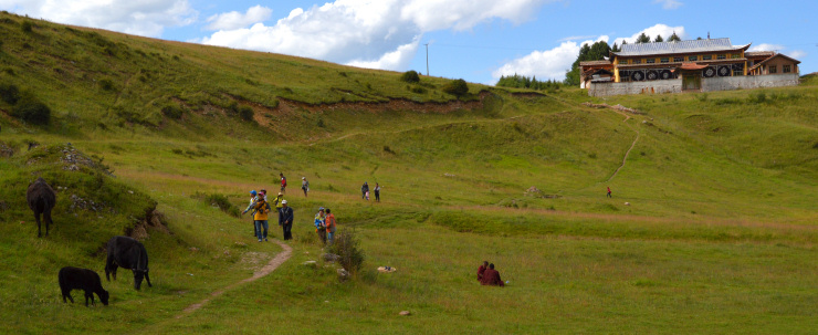 Tibet: Yaks, tourists, monks and a temple in the Tibetan mountains: these are the ingredients to develop the region, but we have yet to find the optimal recipe.